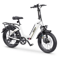 Bicicleta Eléctrica Plegable Hidoes BF1 - Potencia 750W | Batería 13Ah | Velocidad 25mph | Autonomía 41mi