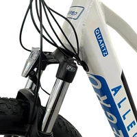 Bicicleta eléctrica Allegro City Cruiser 500W 36V 13Ah