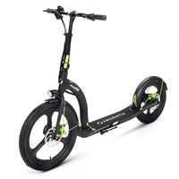 Argento Active Electric Scooter eléctrico - 350W Potencia | Batería 10.4Ah | Velocidad 15.5mph | Autonomía 15.5mi