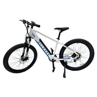 Bicicleta eléctrica Allegro City Cruiser 500W 36V 13Ah