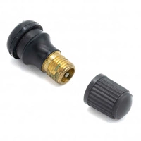Válvula de aire Conversión Tubeless