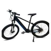 Bicicleta eléctrica Allegro City Cruiser 500W 36V 13Ah