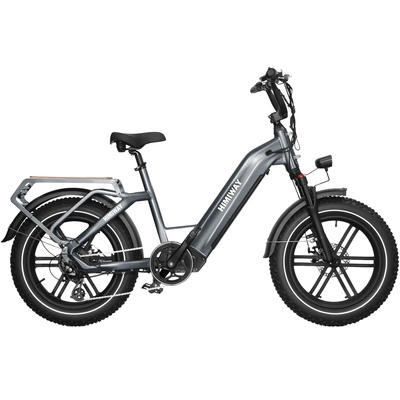 Himiway Big Dog Bicicleta Eléctrica - Potencia 250W | Batería 20Ah | Velocidad 15.5mph | Autonomía 80mi
