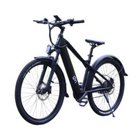 GIN X Bicicleta Eléctrica Híbrida | Rendimiento Urbano | 250W (500W Pico) Potencia | Velocidad 30mph | Batería 12.8Ah | Autonomía 75mi | Ruedas 27.5