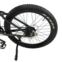 Bicicleta Eléctrica Allegro MTB Pro - 1000W Potencia | Batería 20Ah | Velocidad 30mph | Autonomía 84mi