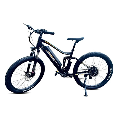 Bicicleta Eléctrica Allegro MTB Pro - 1000W Potencia | Batería 20Ah | Velocidad 30mph | Autonomía 84mi