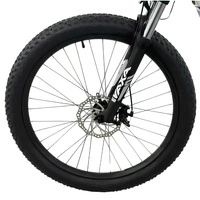 Bicicleta eléctrica Allegro City Cruiser 500W 36V 13Ah