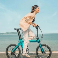 Fiido X 2025 Bicicleta Eléctrica Plegable - Potencia 250W | Batería 11.6Ah | Velocidad 15.5mph | Autonomía 81mi | Manillar Elevable