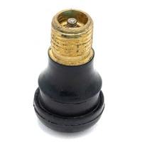 Válvula de aire Conversión Tubeless