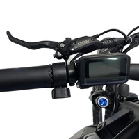 Bicicleta Eléctrica Allegro MTB - 1000W Potencia | Batería 18Ah | Velocidad 30mph | Autonomía 53mi