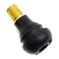 Válvula de aire Conversión Tubeless