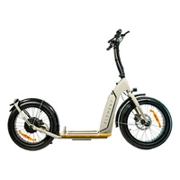 Element Bondi Electric Scooter eléctrico | Rendimiento Urbano | Potencia 500W (800W Pico) | Velocidad 22mph | Batería 14Ah | Autonomía 30mi | Diseño 20 pulgadas | Transporte Urbano Premium
