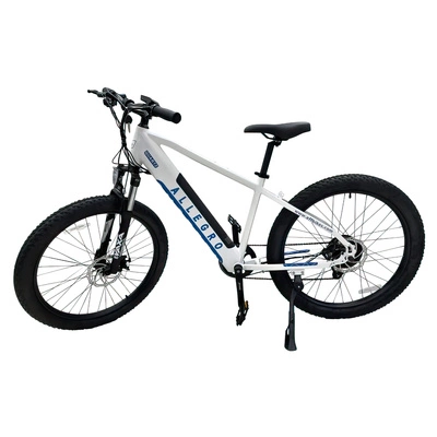 Bicicleta eléctrica Allegro City Cruiser 500W 36V 13Ah