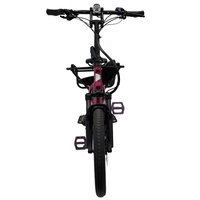 Tern GSD S10 Bicicleta Eléctrica de Carga - 250W Potencia | 14Ah Batería | 15.5mph Velocidad | 53mi Rango | Reacondicionada