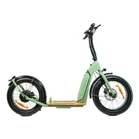Element Bondi Electric Scooter eléctrico | Rendimiento Urbano | Potencia 500W (800W Pico) | Velocidad 22mph | Batería 14Ah | Autonomía 30mi | Diseño 20 pulgadas | Transporte Urbano Premium