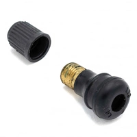 Válvula de aire Conversión Tubeless