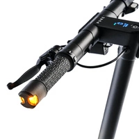 Pure Advance+ 710W 12Ah Autonomía 31mi