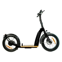 Element Bondi Electric Scooter eléctrico | Rendimiento Urbano | Potencia 500W (800W Pico) | Velocidad 22mph | Batería 14Ah | Autonomía 30mi | Diseño 20 pulgadas | Transporte Urbano Premium