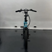 Tern GSD S10 Bicicleta Eléctrica de Carga - 250W Potencia | 14Ah Batería | 15.5mph Velocidad | 53mi Rango | Reacondicionada