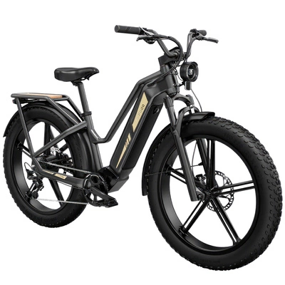 Bicicleta Eléctrica Fiido Titan - 750W Potencia | Batería 14.5Ah | Velocidad 28mph | Autonomía 84mi