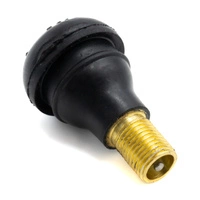 Válvula de aire Conversión Tubeless