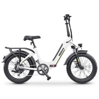 Bicicleta Eléctrica Plegable Hidoes BF1 - Potencia 750W | Batería 13Ah | Velocidad 25mph | Autonomía 41mi