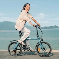 Fiido D11 Bicicleta Eléctrica Plegable - Potencia 250W | Batería 11.6Ah | Velocidad 15.5mph | Autonomía 62mi