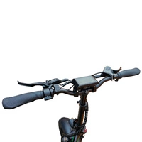 Allegro City Fold Pro 162mi Freno hidráulico de largo alcance Ebike plegable de largo alcance