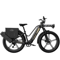 Bicicleta Eléctrica Fiido Titan - 750W Potencia | Batería 14.5Ah | Velocidad 28mph | Autonomía 248mi
