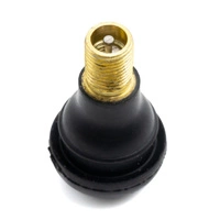 Válvula de aire Conversión Tubeless